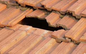 roof repair Shotton
